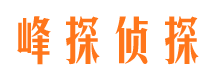 灵石侦探